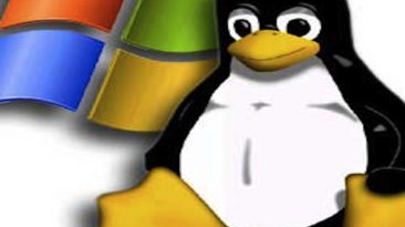 Windows vs Linux