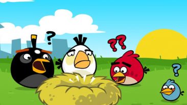 angry birds