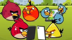 angry birds