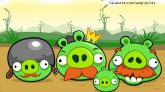 Angry pigs