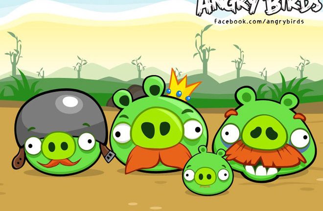 Angry pigs
