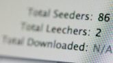 Torrents