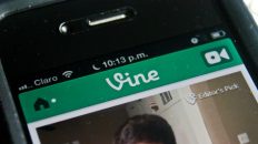 Vine