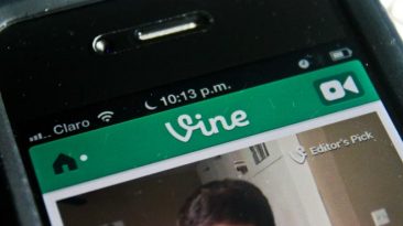 Vine