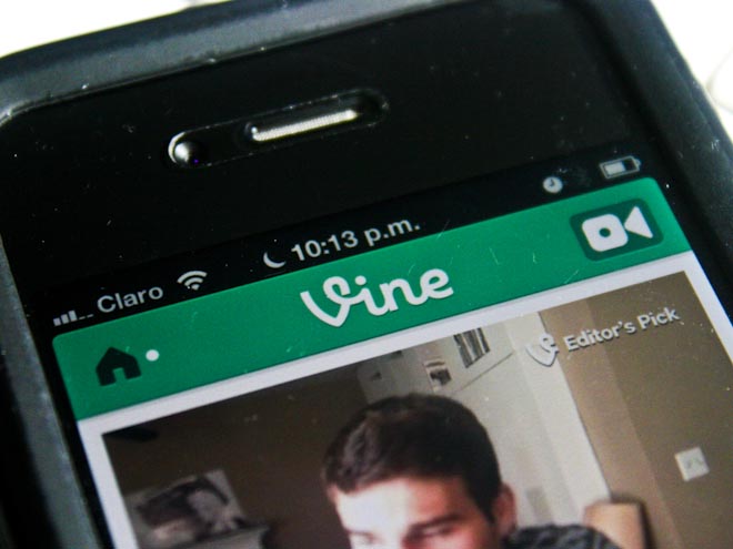 Vine