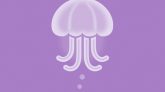 Jelly