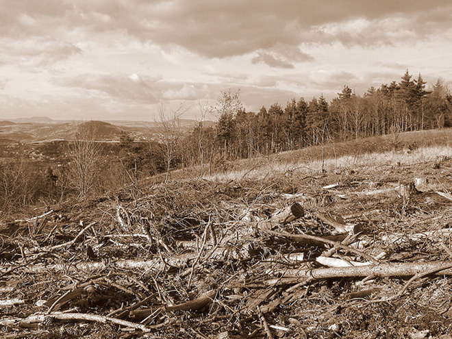 La deforestación en el mundo. Foto: Cacahouette (vía Flickr)