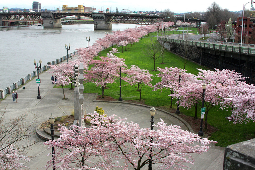 Naturaleza vs concreto. Foto: Wikimedia