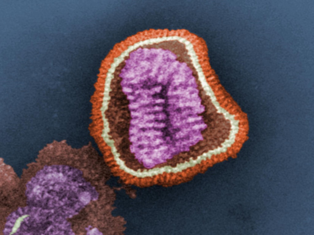 El grupo de científicos pudo revivir el virus en el laboratorio.