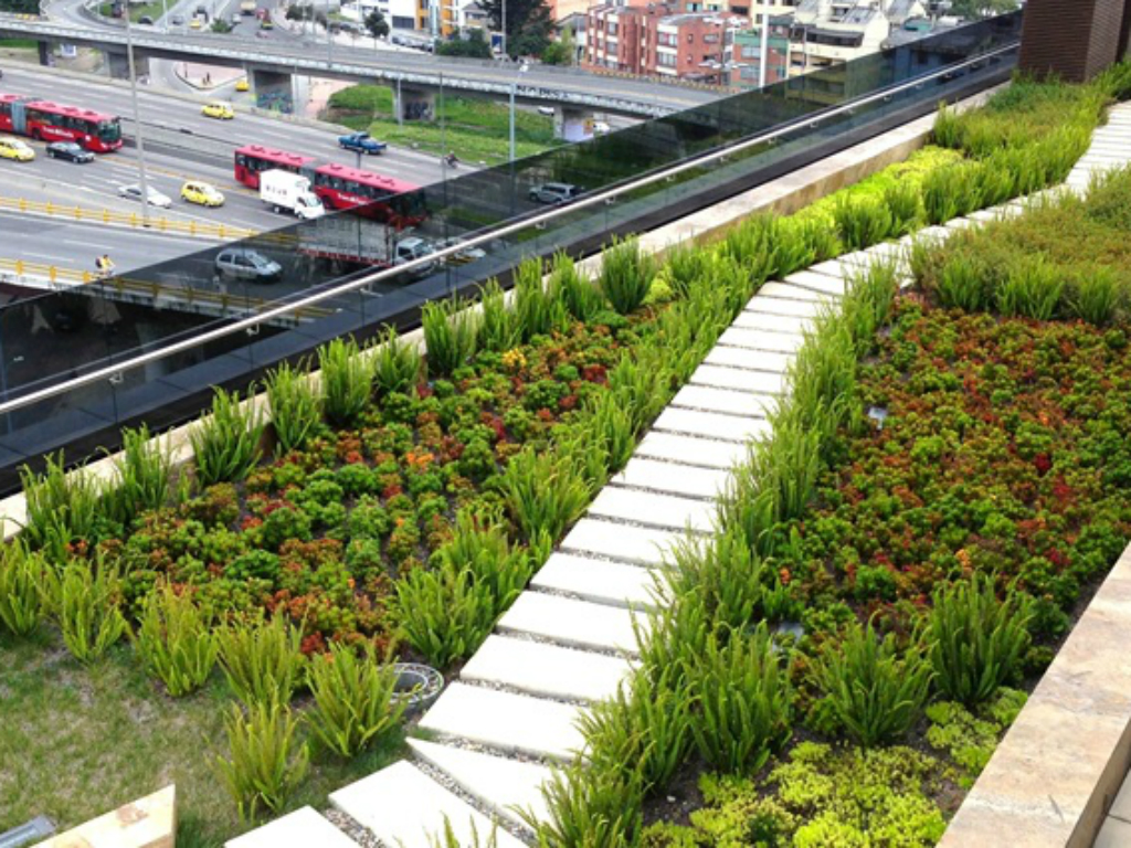 Techos verdes para todas las ciudades