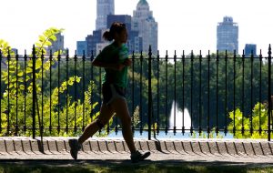 Google Fit, la plataforma de salud de Android.