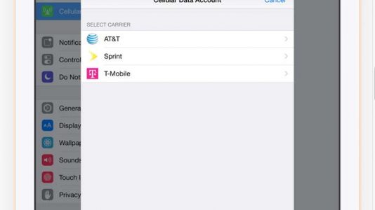 Apple SIM