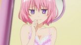 manga de To Love Ru