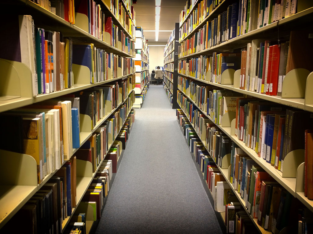 Los eBooks, los audiolibros, las películas y los libros académicos se encuentran en inglés.