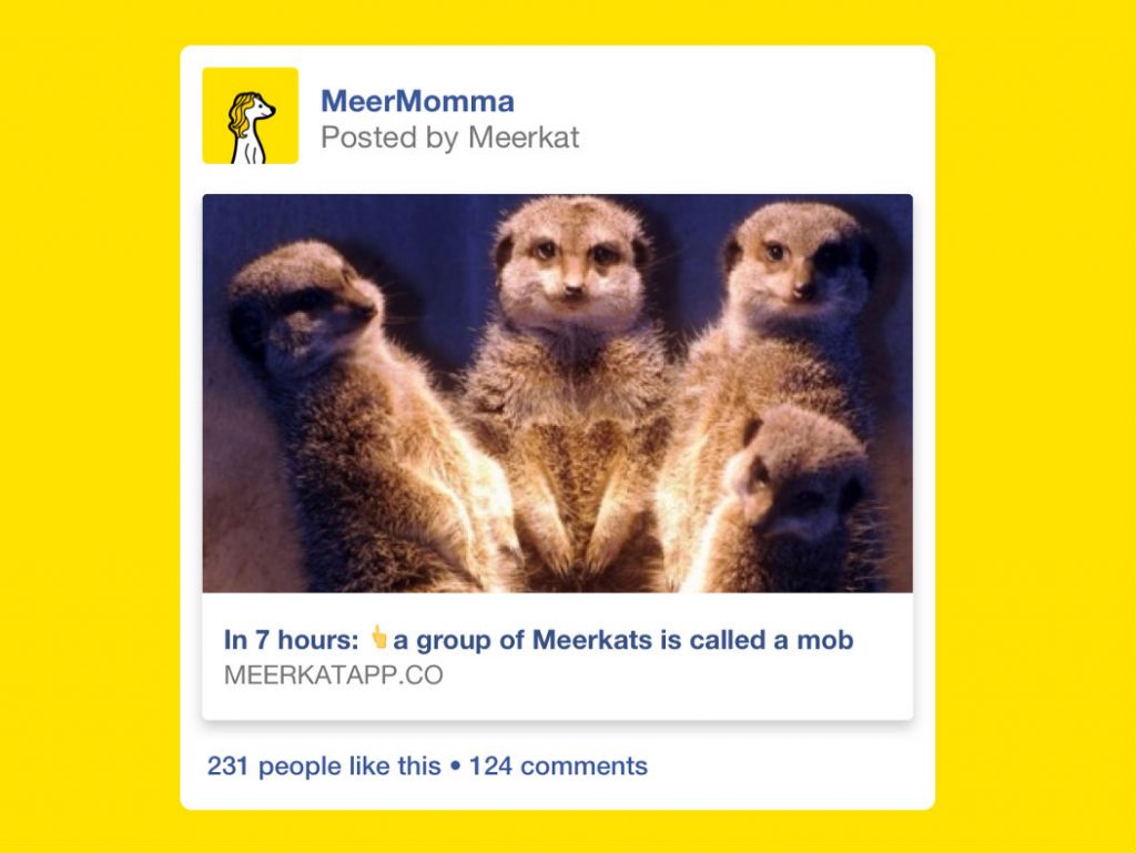Meerkat ahora se integra con Facebook.