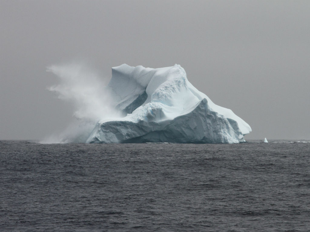 Iceberg