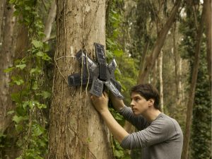 Los smartphones viejos sirven para prevenir la deforestación.