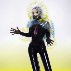 Bjork-Vulnicura1