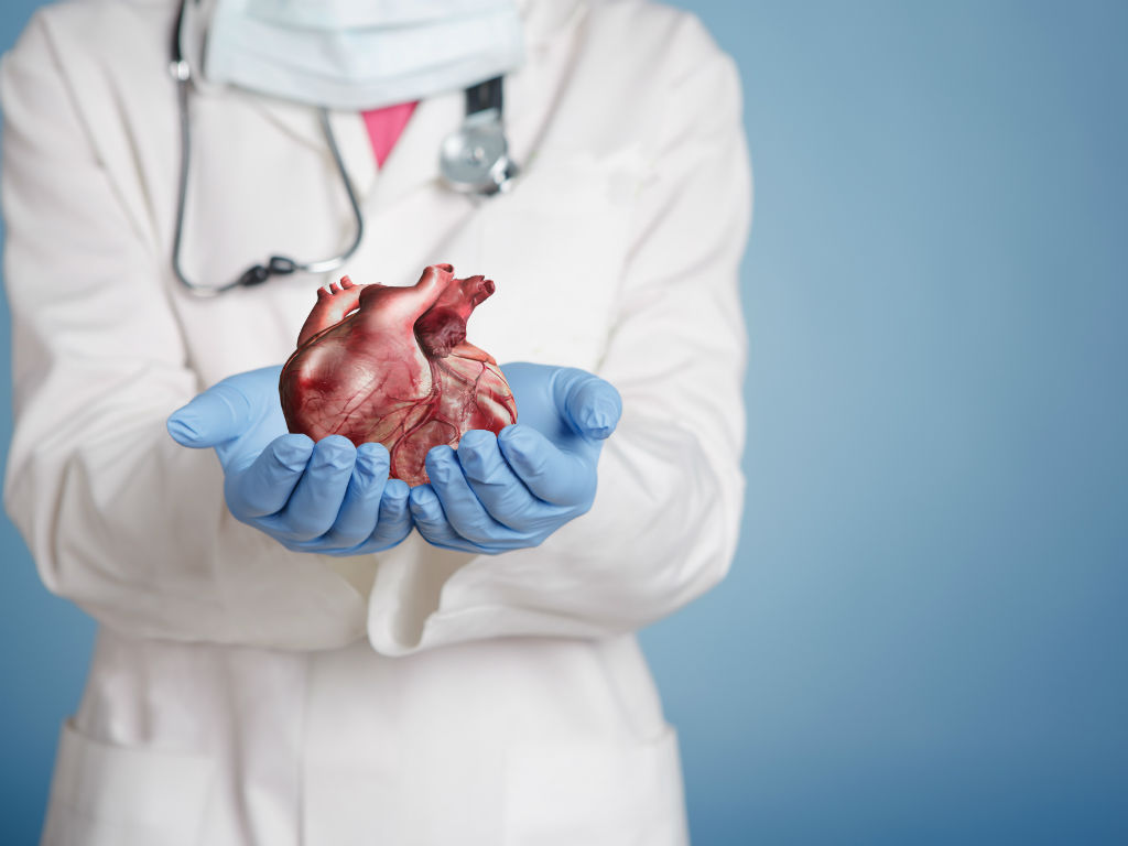Los científicos usaron células de piel y una matriz celular de otros corazones. 