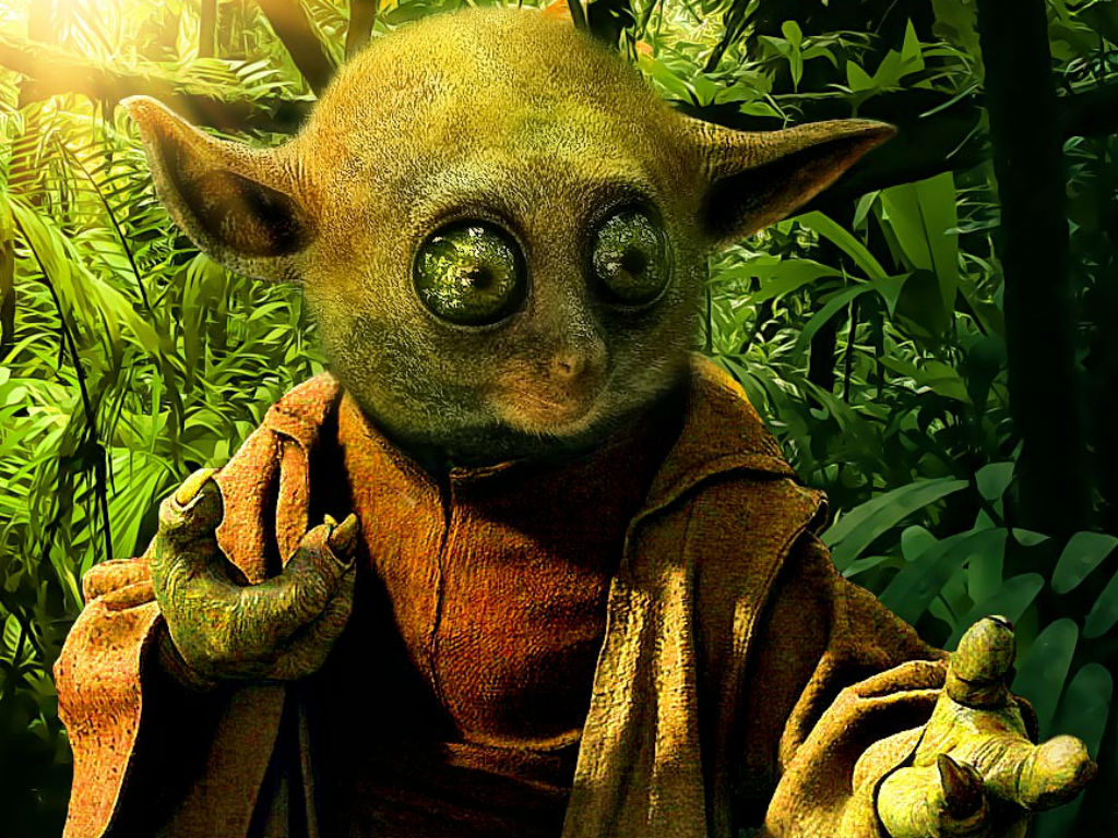 Este primate se parece mucho a Yoda de 'Star Wars'. 