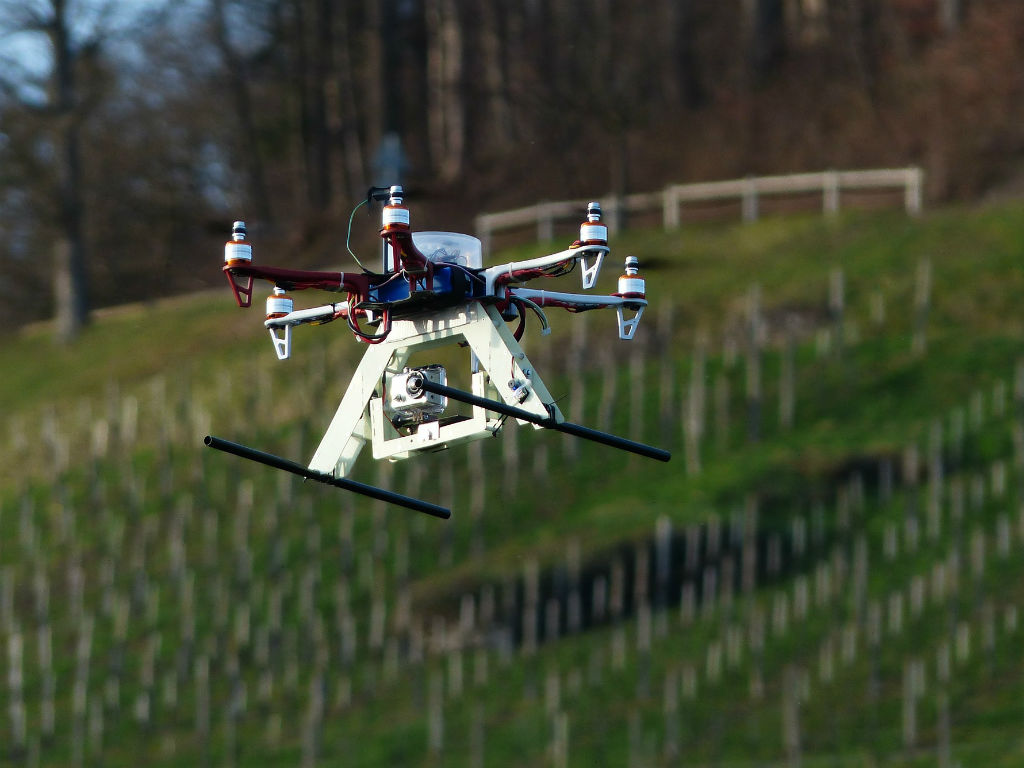 Los animales pueden resultar afectados por la presencia de drones en sus hábitats. 