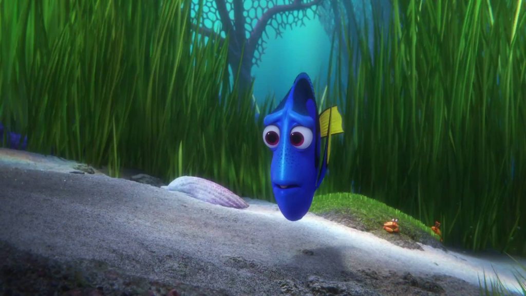 Dory