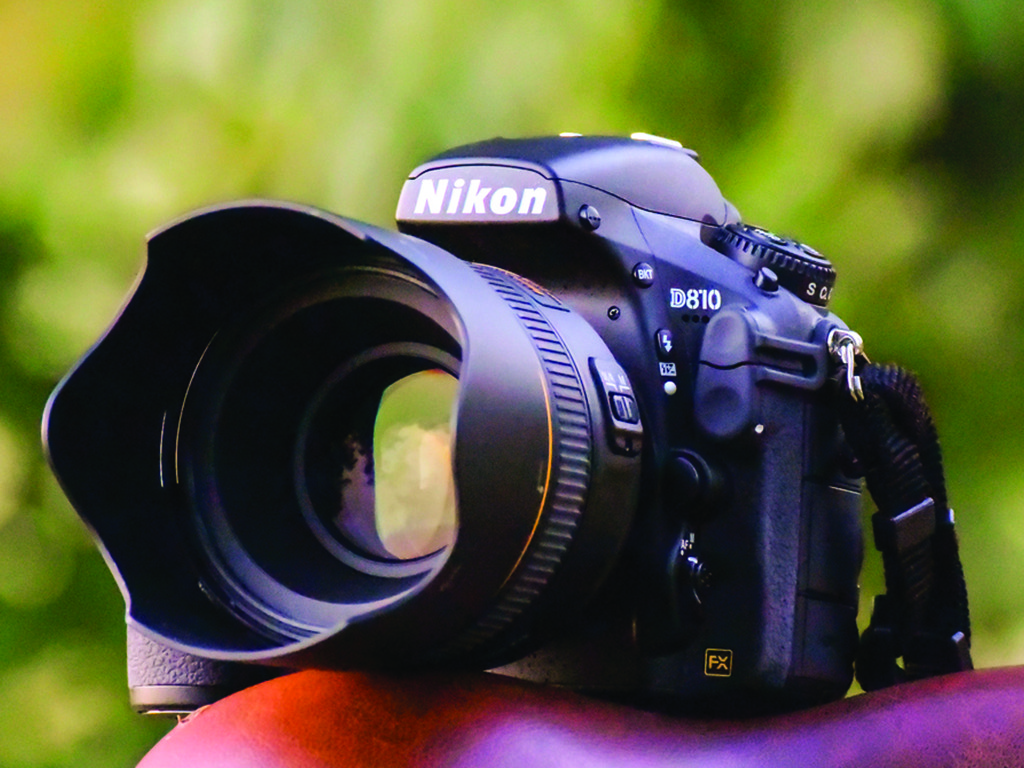 Boda Color rosa ancla Las mejores cámaras DSLR de 2016