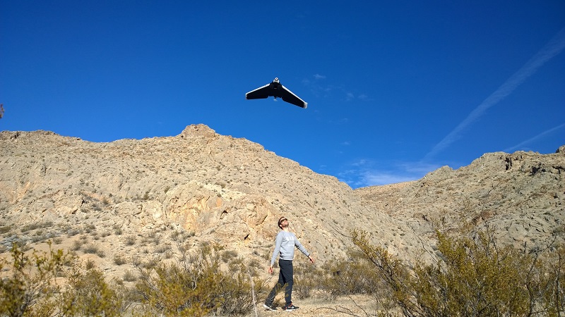 El Parrot Disco se vende desde la primera semana de septiembre.