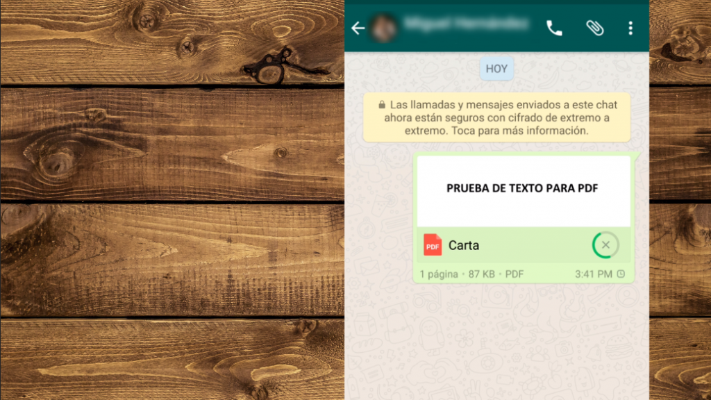 Enviar PDF en WhatsApp