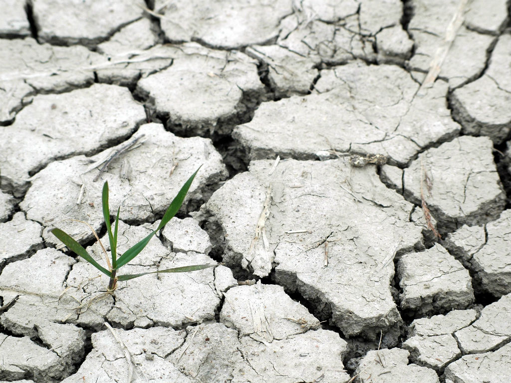 Donald Trump cree que el cambio climático es falso. 