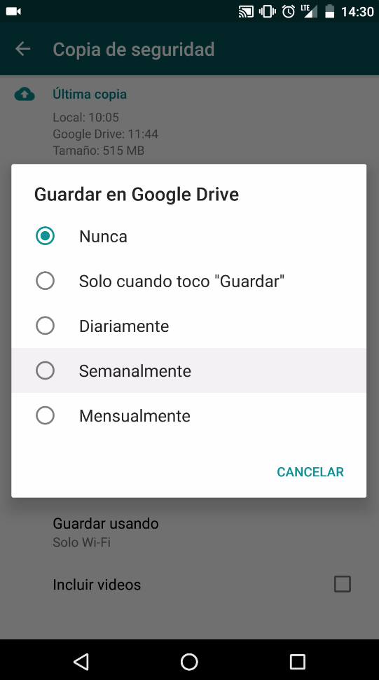 frecuencia de la copia automática