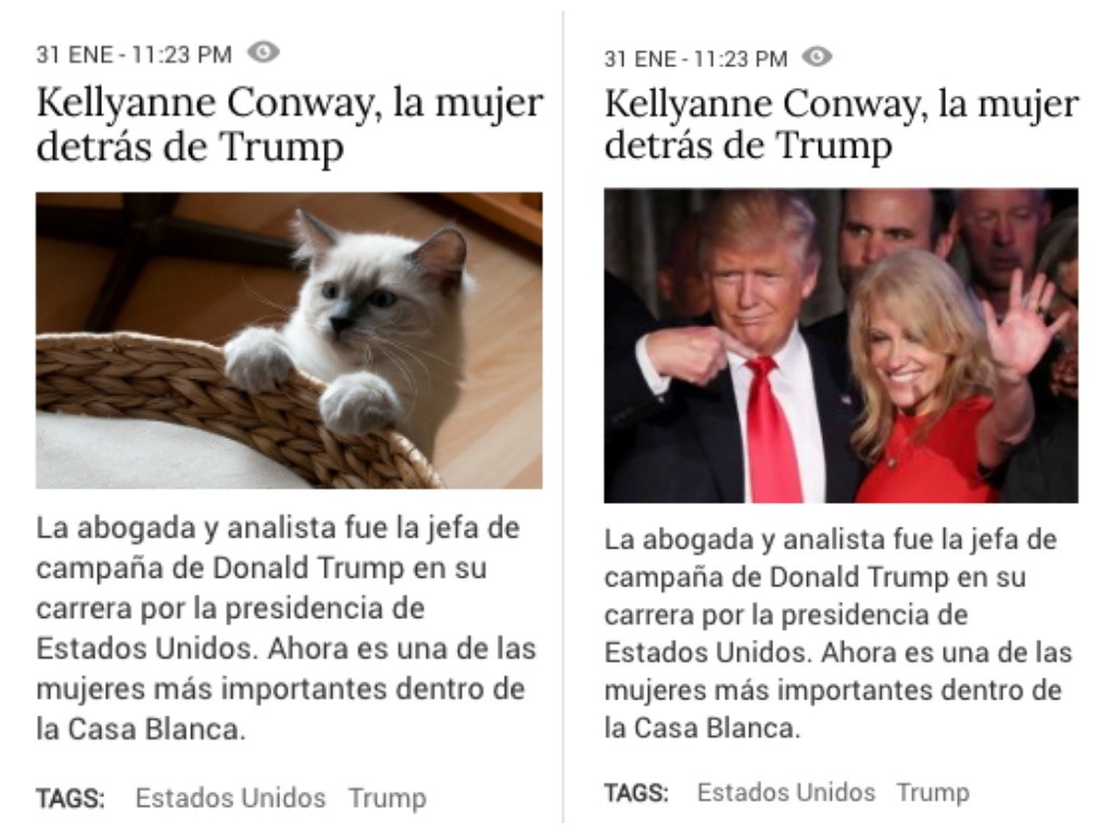 Convierte a Donald Trump en un gato.