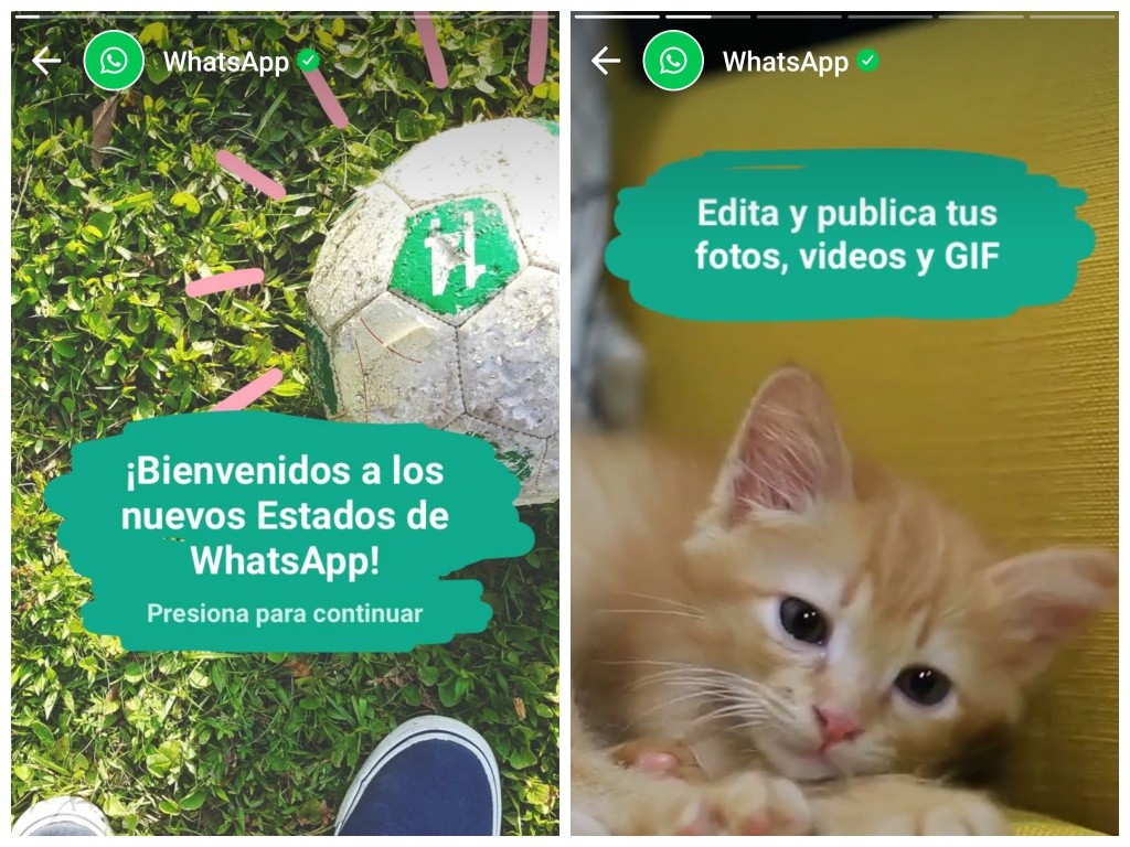 Te contamos cómo funcionan los estados de WhatsApp