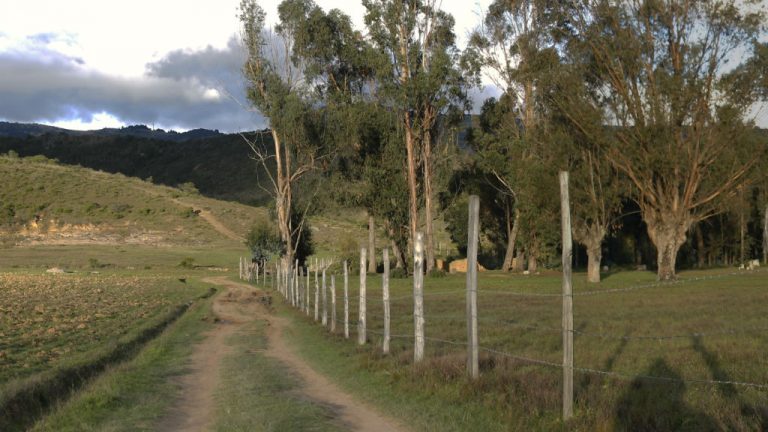 imagen fotos panorámicas