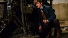 fantastic beasts