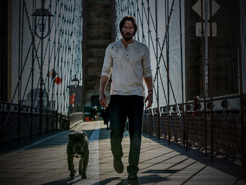 Imagen John Wick