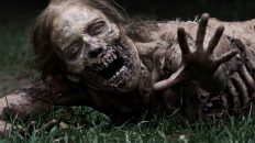 imagen The Walking Dead