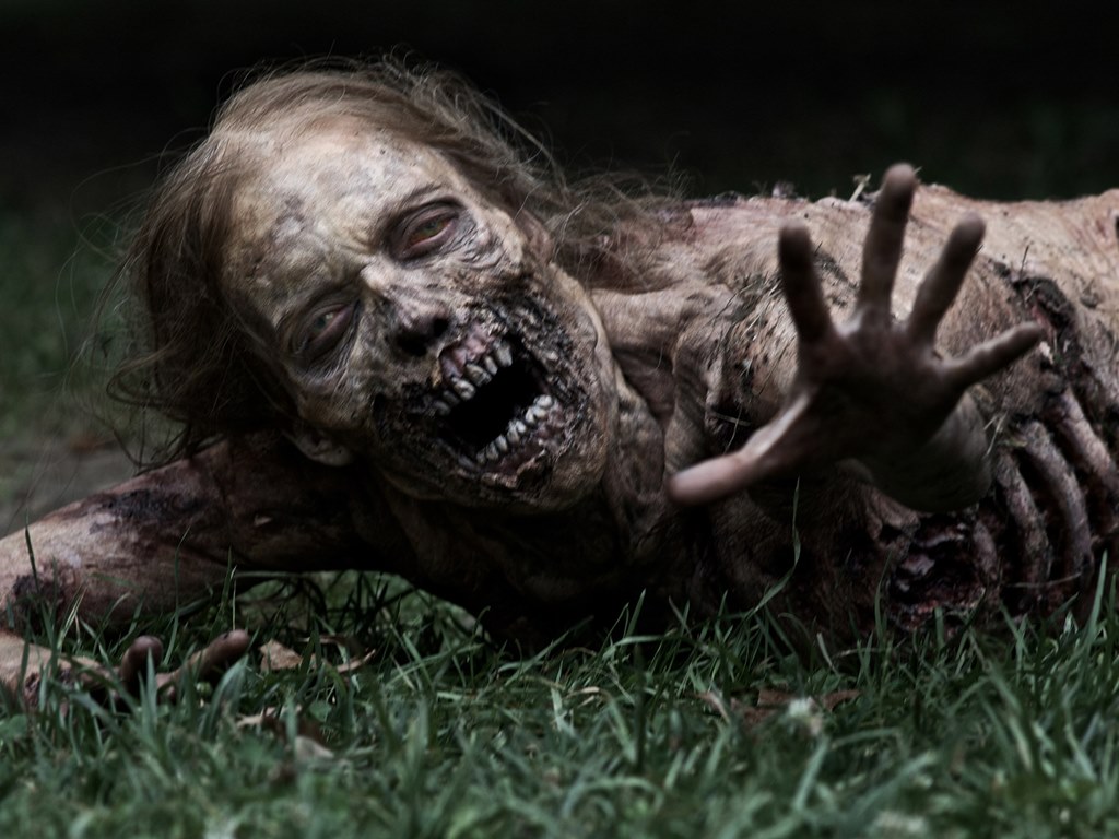 imagen The Walking Dead