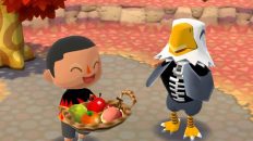 Animal Crossing: Pocket Camp