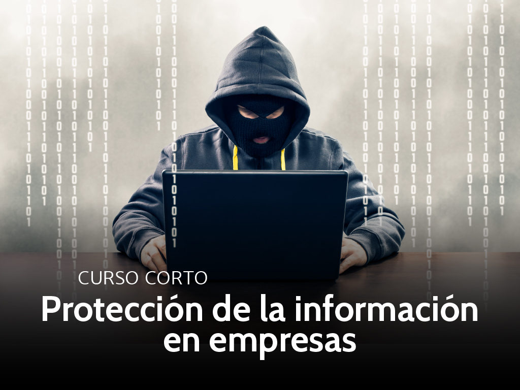 Curso privacidad y seguridad de la informacion