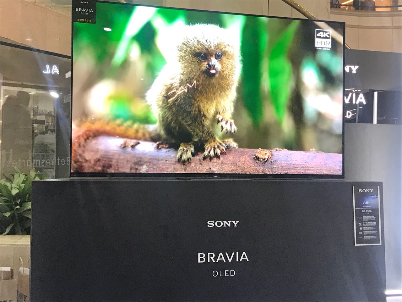bravia oled A8F