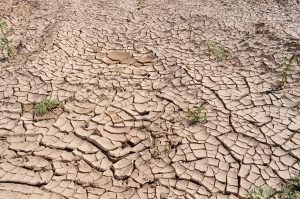 Cambio climático