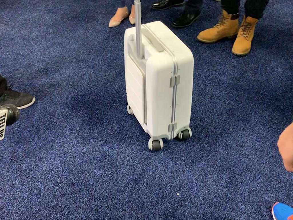 Ovis Suitcase