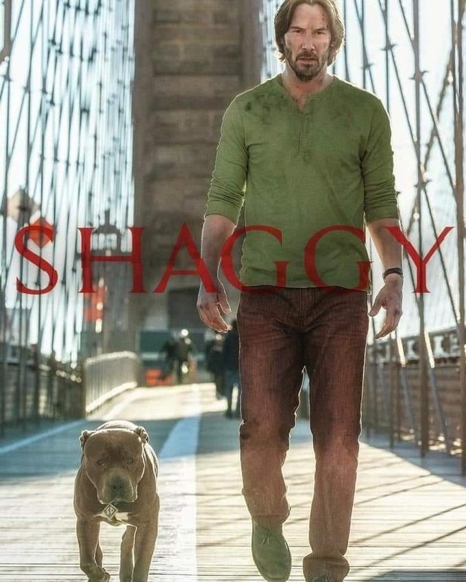 Shaggy