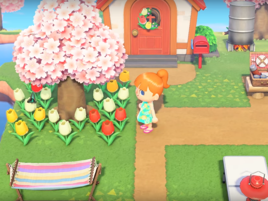 Animal Crossing: New Horizons