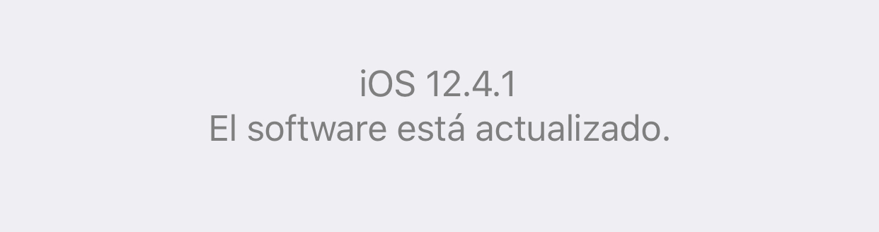 iOS 12.4.1