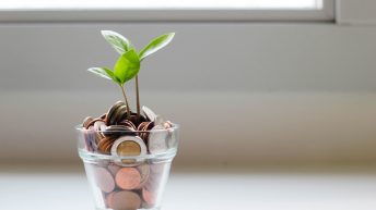 Una planta creciendo en un vaso de monedas. Financiación