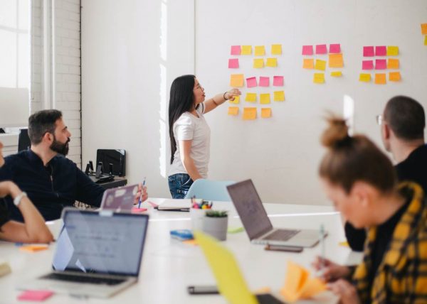 Grupo Familia startups