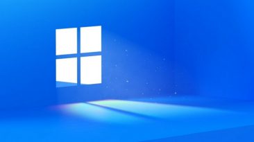 Windows 11