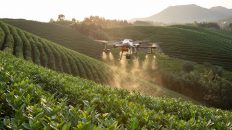 agrotech, startups, emprendimiento, drones,